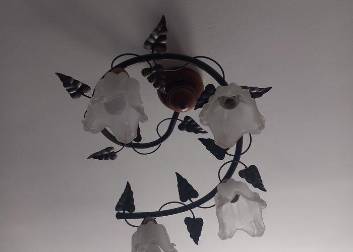 Grajewo ogłoszenia: Żyrandol.
Stan idealny.